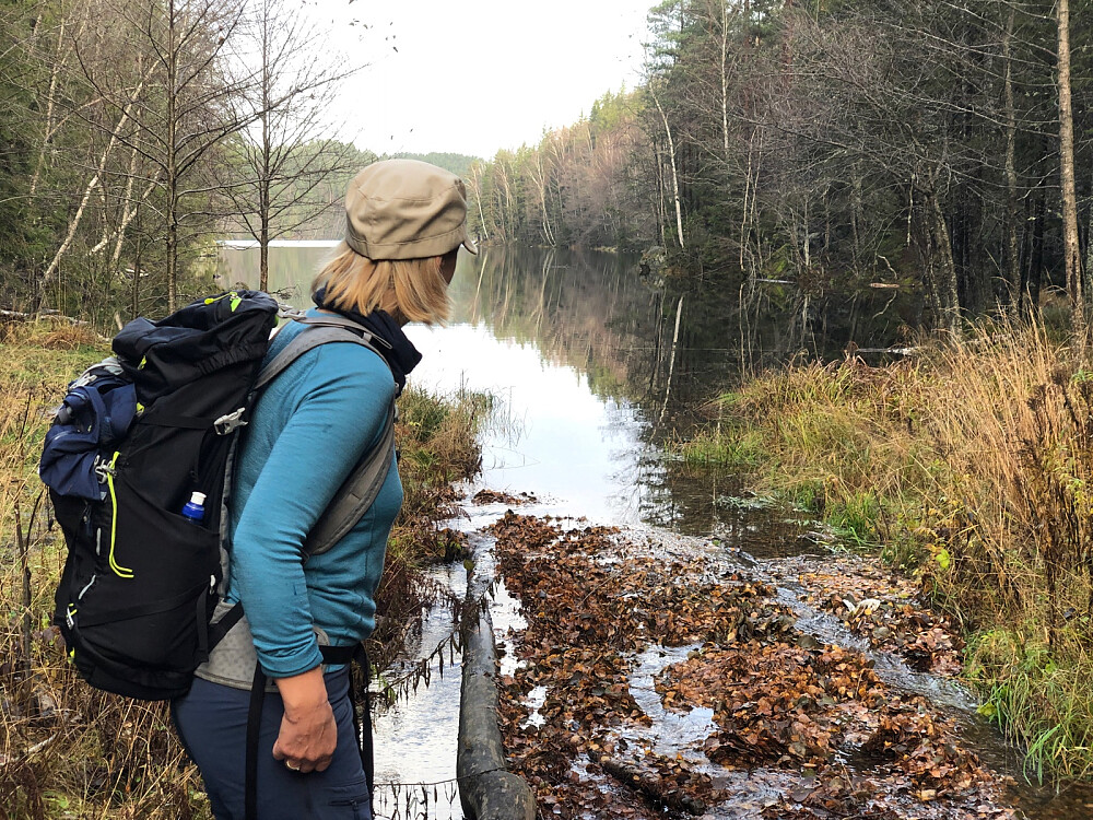 Lutvann sørenden med demning. 