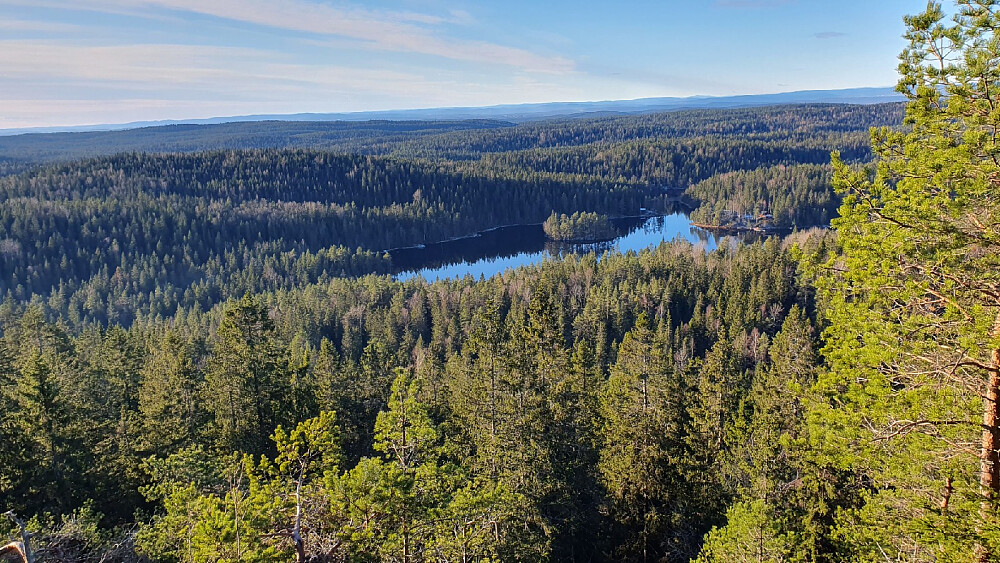 Utsikt fra Tonekollen mot Tonevannet