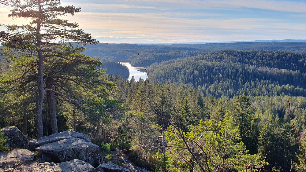 Utsikt fra Tonekollen mot Mosjøen