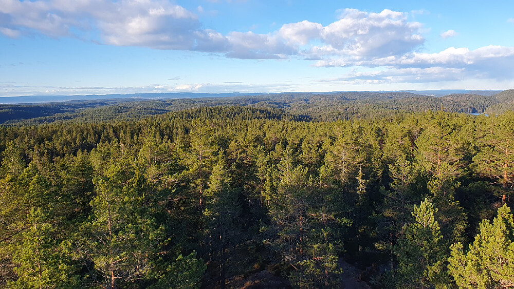Utsikt fra tårnet på Kjerringhøgda