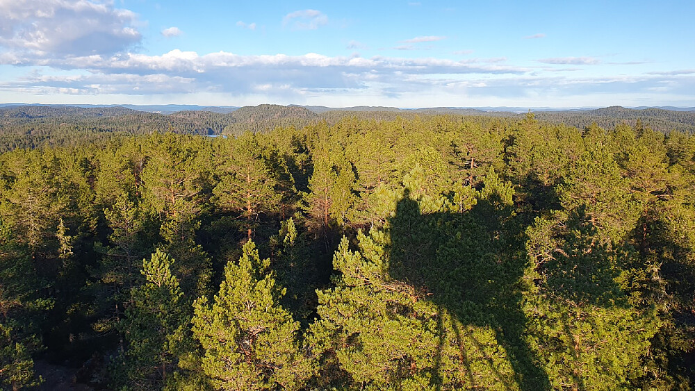 Utsikt fra tårnet på Kjerringhøgda