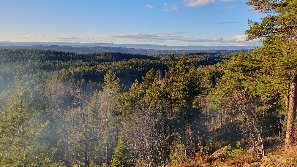 Utsikt fra Tømmerås