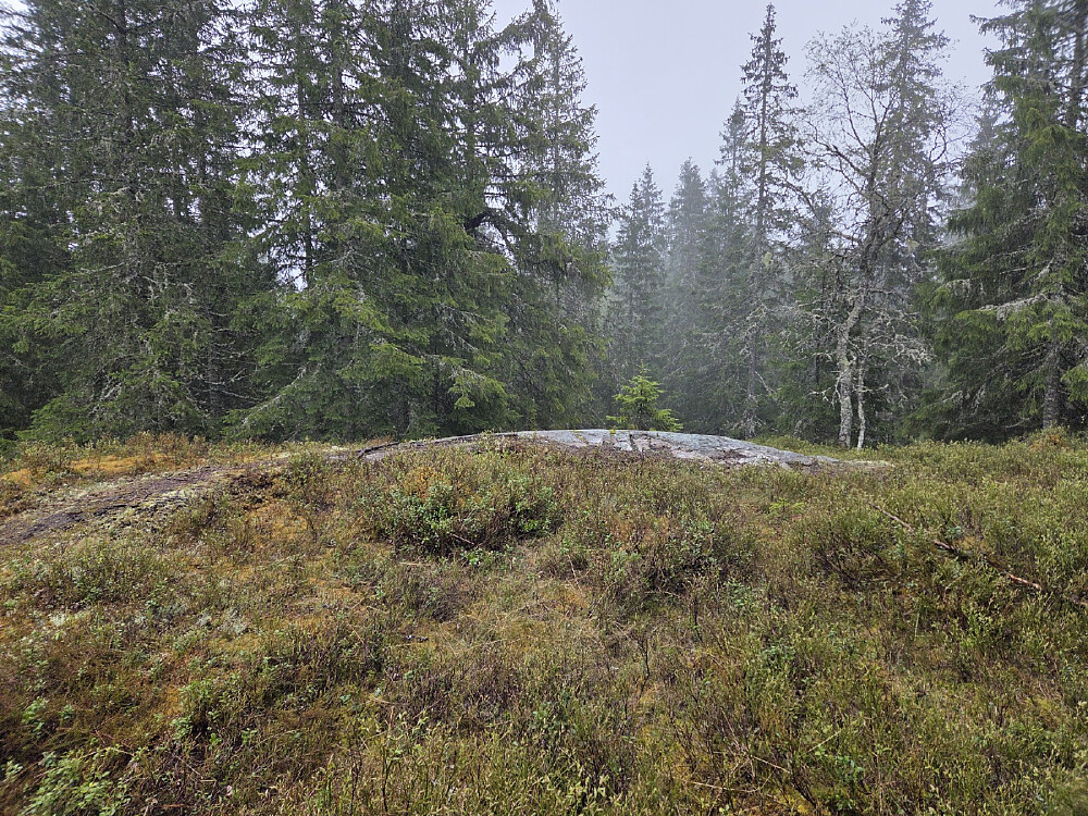 Granberget