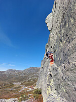 Olepetter_20250827_68af15540a7a2.jpg