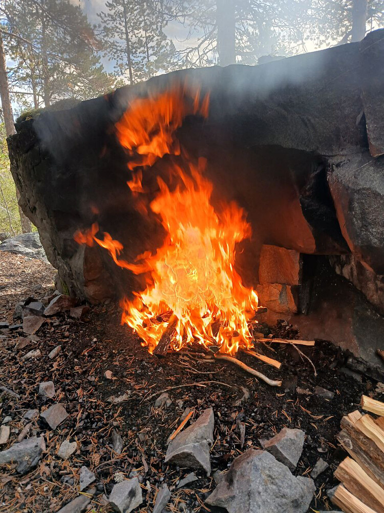 Kjenner tyrilukta bare ved å se på dette bildet...