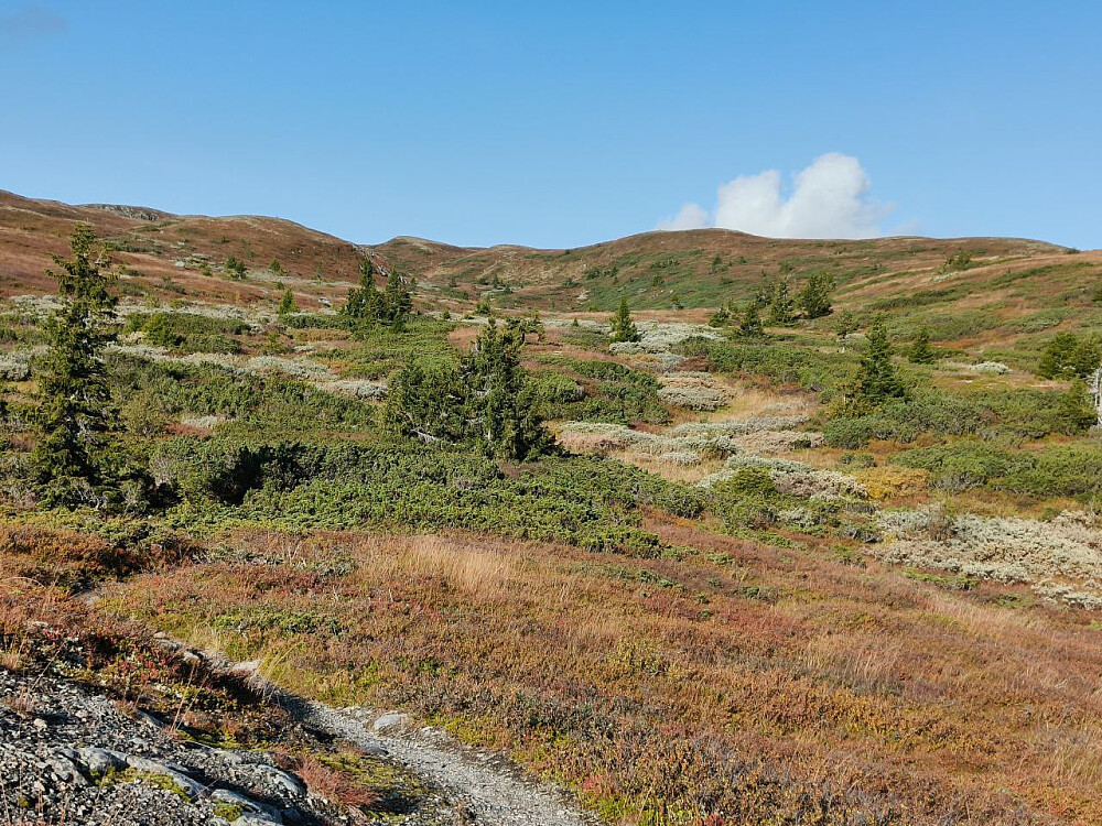 Typisk Bjødalsfjell-terreng.