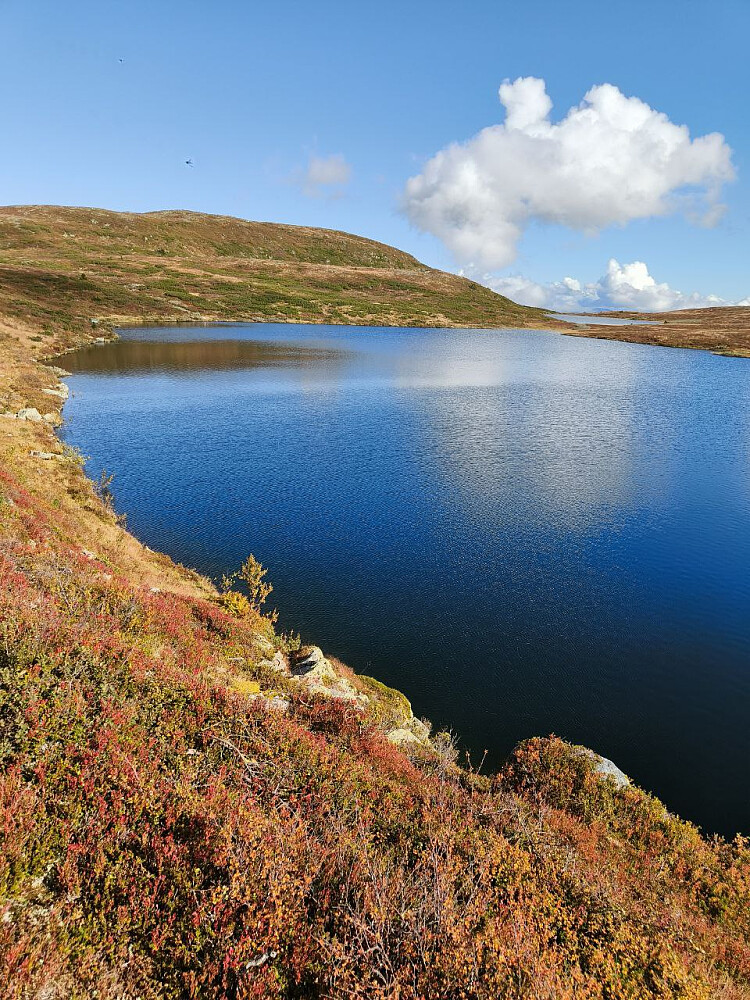 Tilbakeblikk på Bjødalskampen.