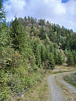 Olepetter_20250908_68beeb1c4b7d8.jpg