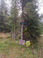 Olepetter_20250908_68beeb1dcb1c8.jpg