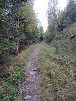 Olepetter_20250908_68beeb1f7d184.jpg