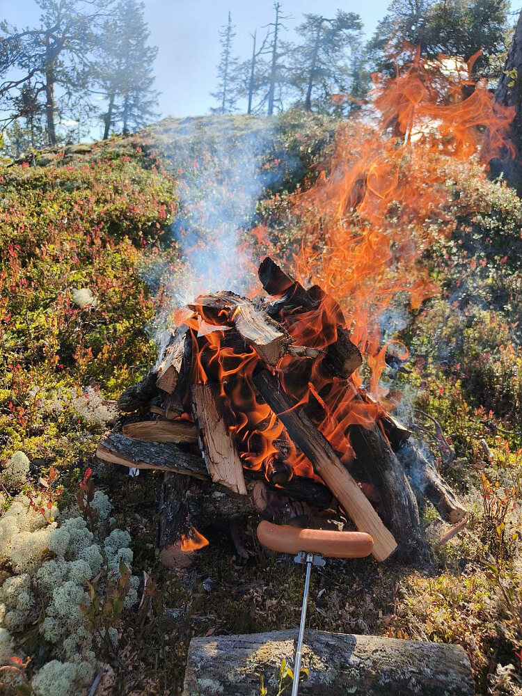 Feiret siste stolpen i kommunen (nr 295/295) med tørrfuru-bål og pølser ved toppen.