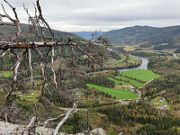 Olepetter_20250920_68cea6f66159d.jpg