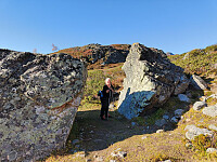 Olepetter_20250926_68d6bc92c94ab.jpg