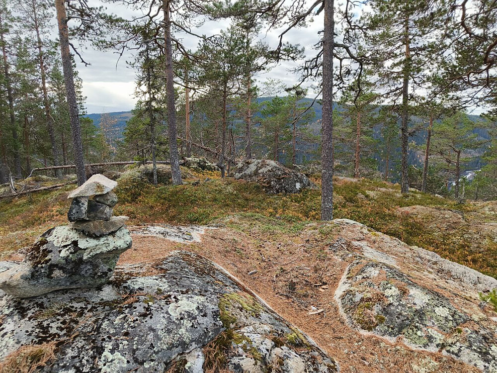 Varden på toppen.