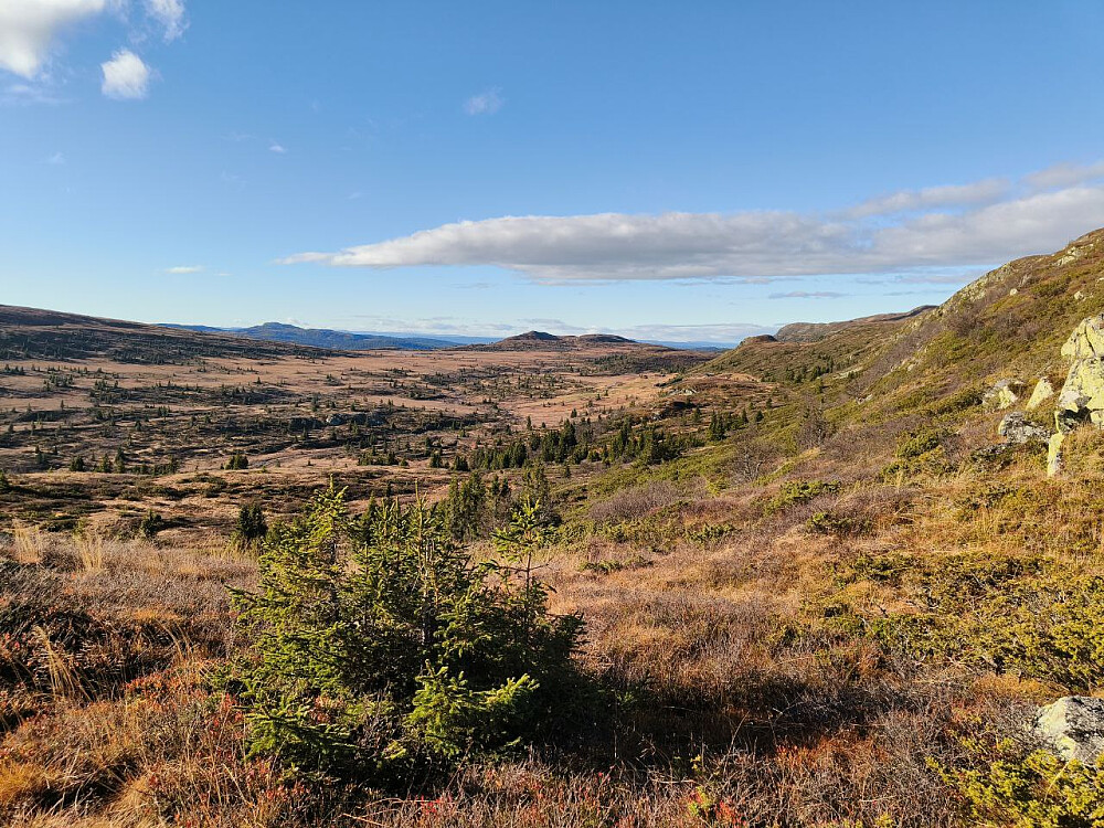 Vassvollen sett fra øst.