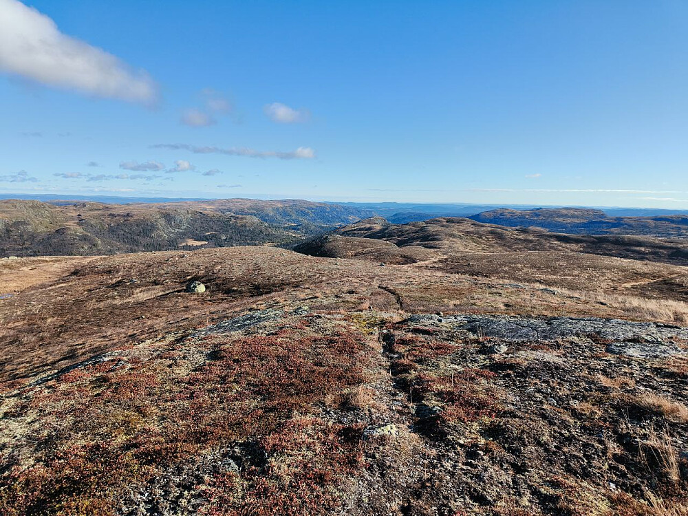 På Meitebekkfjellet. Ser bakover (østover) på knattene jeg har vært og hentet stolper.
