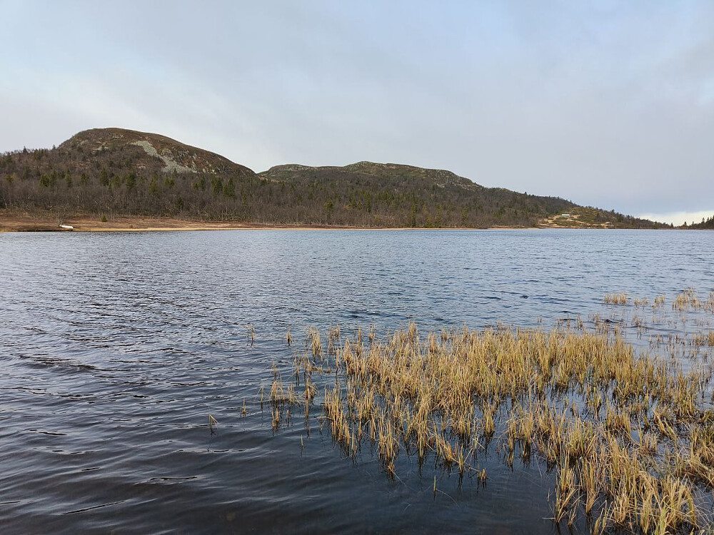 Ved Naustvolltjernet. Mot Falken Øst-1.