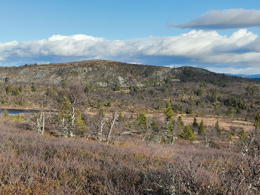 Utsikt mot Haugsjøfjellet.