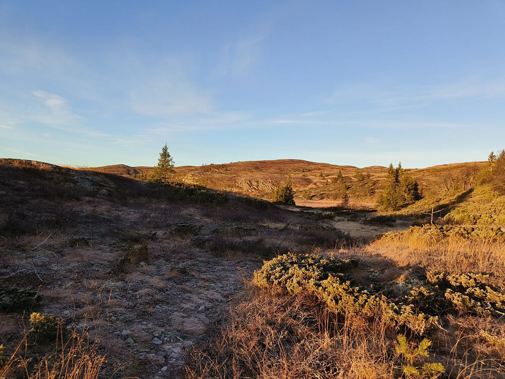 Morgenstund oppover mot Hollastølsfjellet.