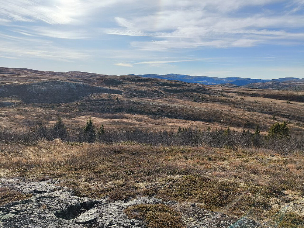 På Fiskebufjellet, mot høyden kalt Fiskebufjellet sør, der vi hadde en svart stolpe i år som måtte hentes.