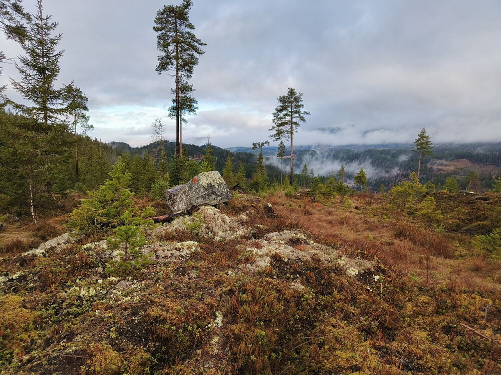 Litt utsikt nordover på hogstfeltet, der gården Landmark nede ved Begna kan anes til høyre i bildet.
