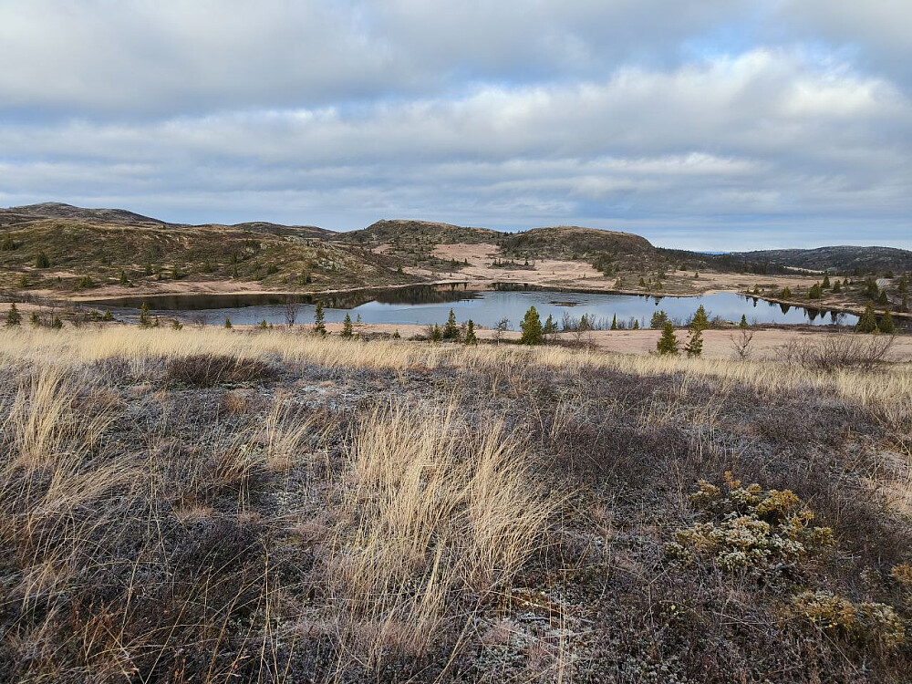 Tilbakeblikk underveis (mot Sangeknattene).