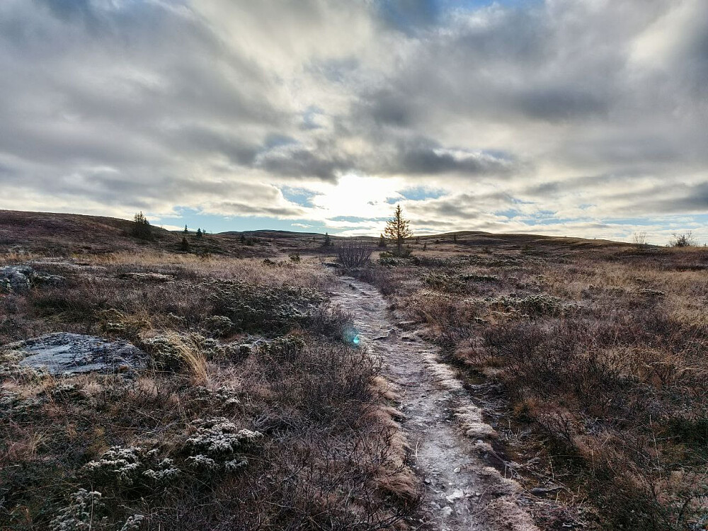 Stemningsfullt lys, men sola kom ikke skikkelig igjennom mens jeg var på tur, i alle fall...