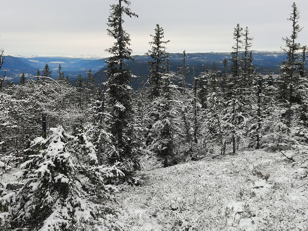 Et punkt underveis er det mulig å skimte de hvite toppene i Jotunheimen også...