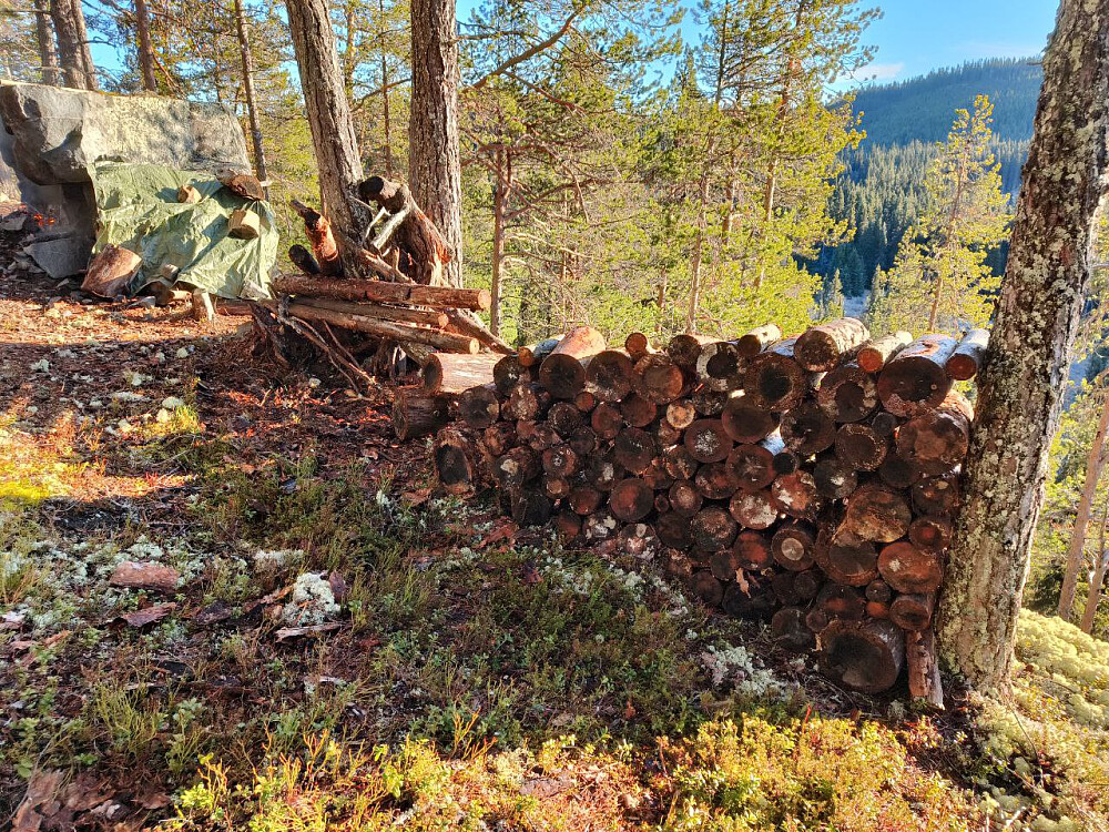 Skiftet presenningen i dag, og la opp litt ved i en ny stabel, som skal få stå over vinteren udekket og deretter tørke neste sommer. Ved er ingen mangelvare her oppe!