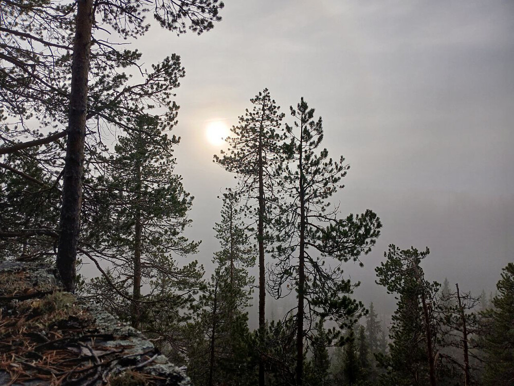 Tenker på Kittelsen...