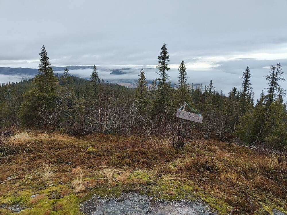 Tåkeskyer over Reinli.