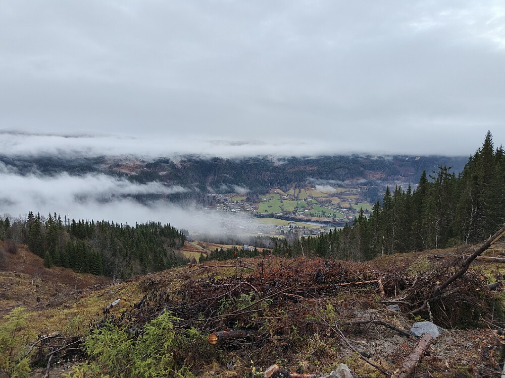 Ved parkeringa er det i sommer fjerna skog, og man ser like ned til Bagn.