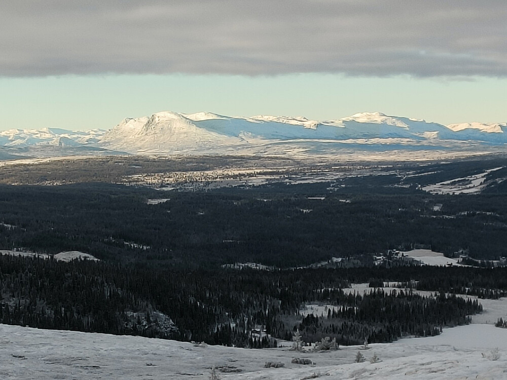 5x zoom mot Skogshorn.