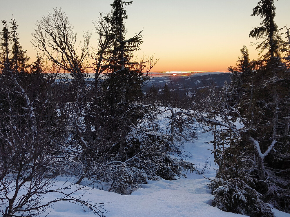 Soloppgang kl 9.29 i dag, og jeg var ute i litt bedre tid enn sist gang.