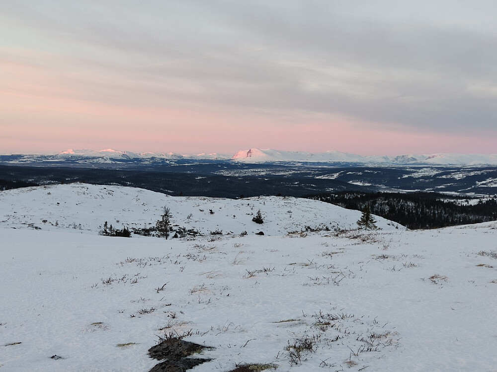 Sola går opp på Skogshorn.