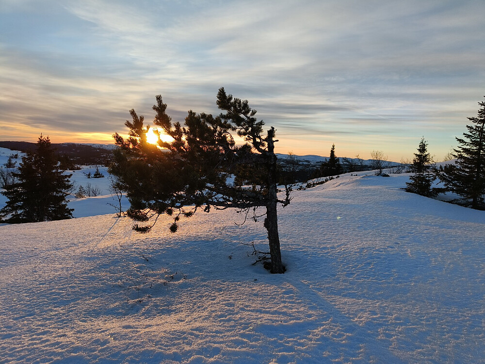 Tydelig hvorfra været som oftest står...