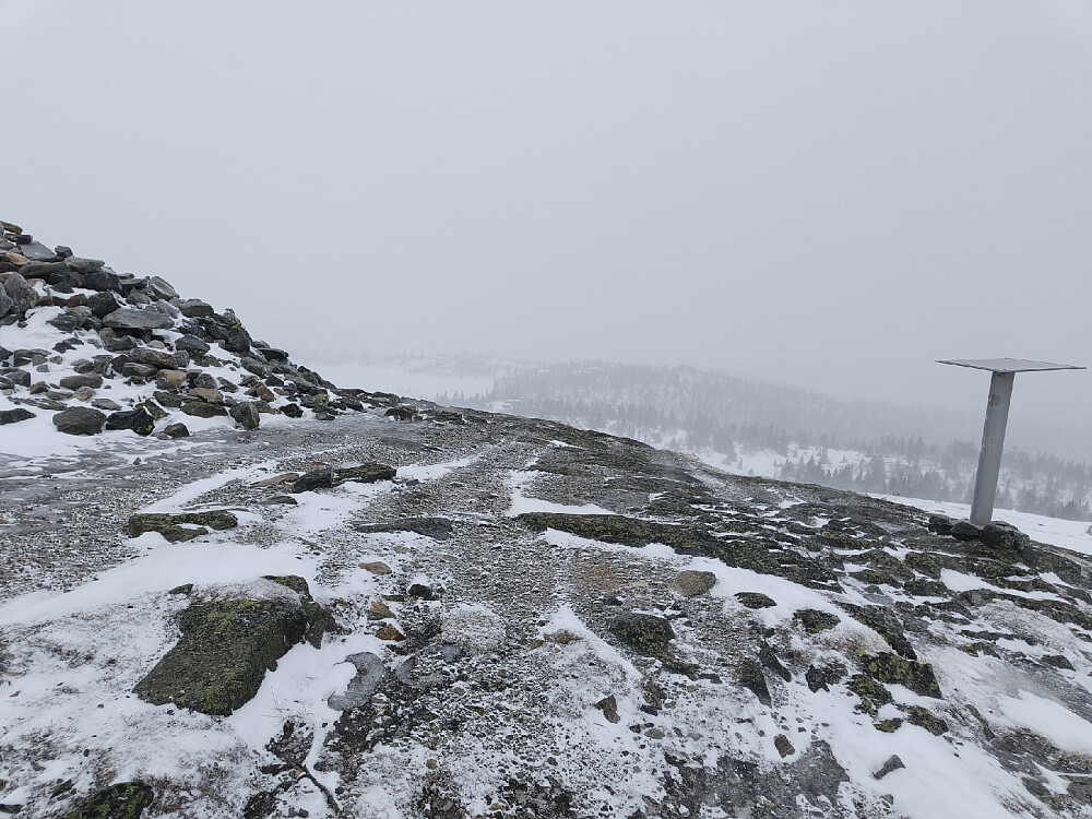 Blåste friskt her i dag, og med 12-14 minus tok jeg bare en kjapp runde rundt varden.