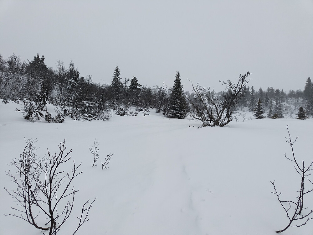 På Fræningen, så vidt sikt opp til Fjellenden.