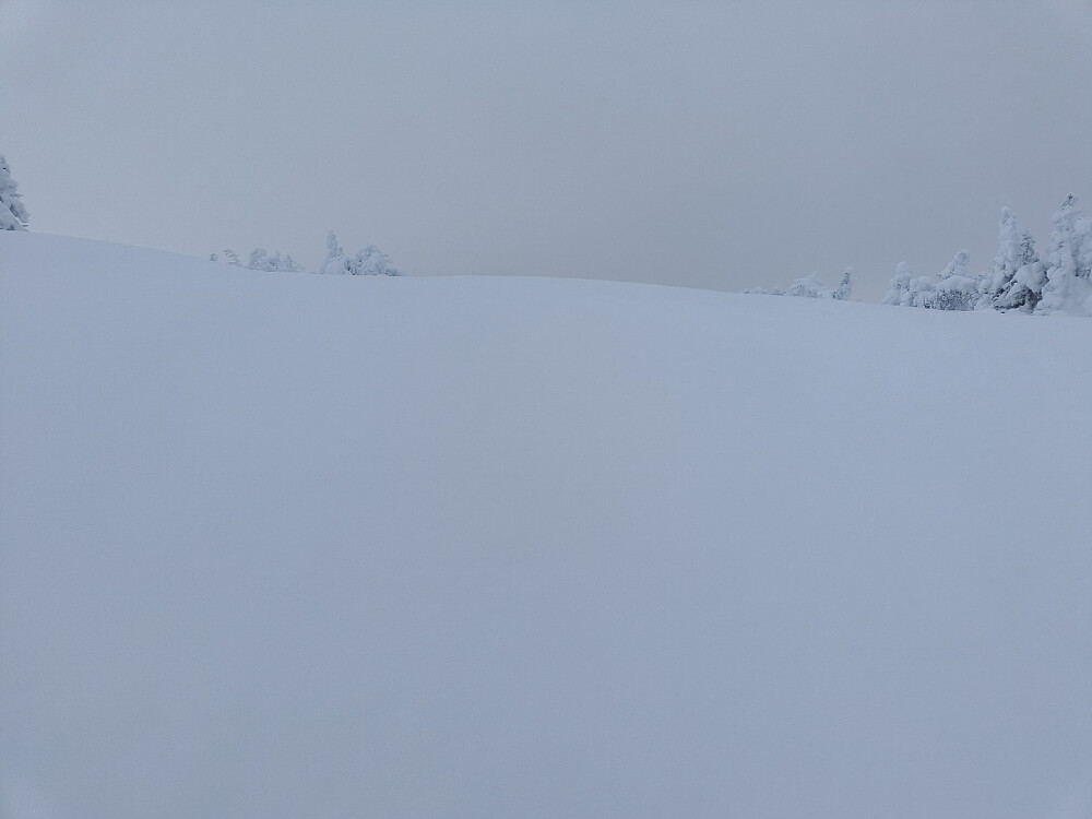 Hvor i alle dager går skiløypa?