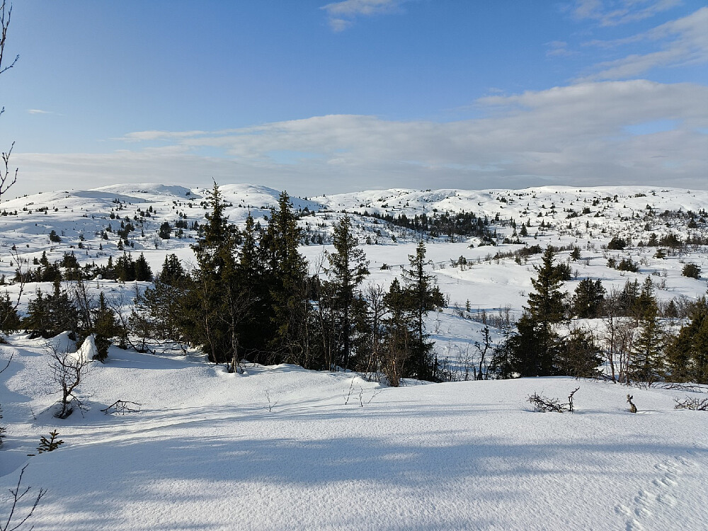 Utsikt over Stormyra