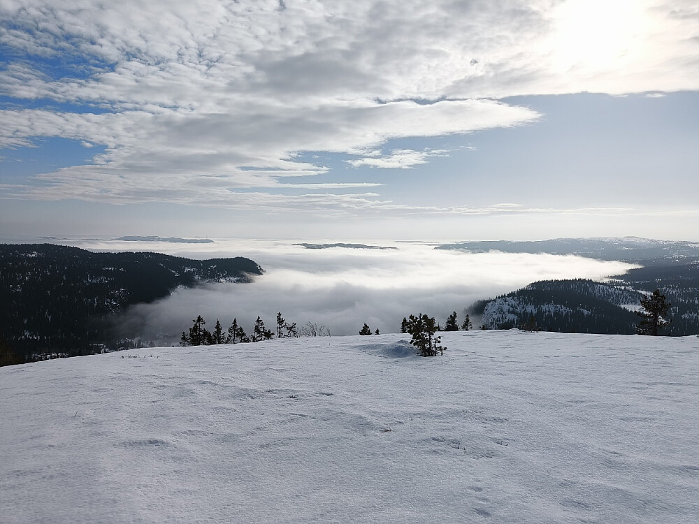Tåka lå tung og rå nedi dalen, slik den har gjort mye de siste dagene.