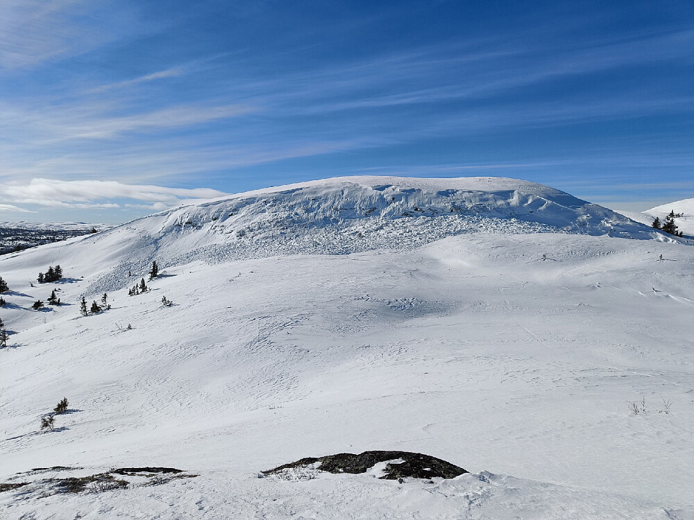 Digert ras i østhellinga, sikkert 100 m langt!
