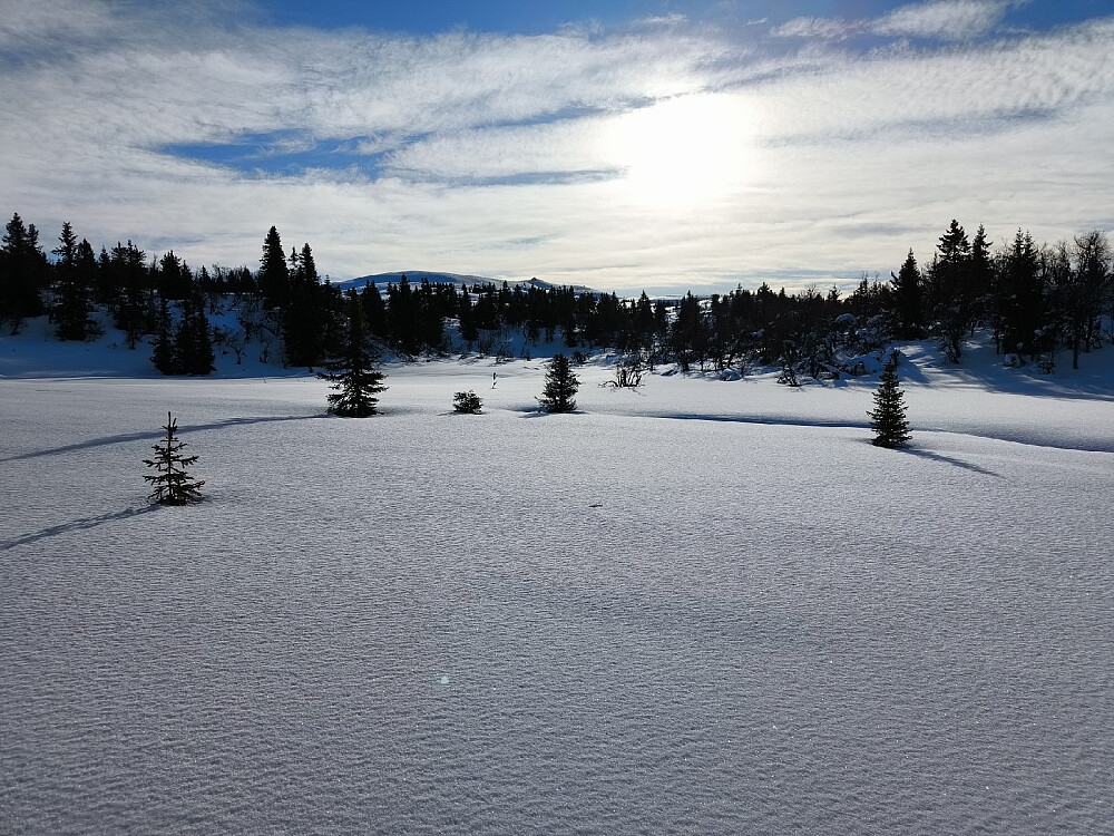 I le av vinden var det riktig idyllisk.