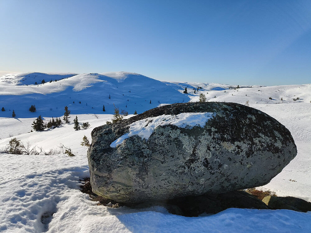 Tror det var første gangen i år jeg var oppved Tynna.
