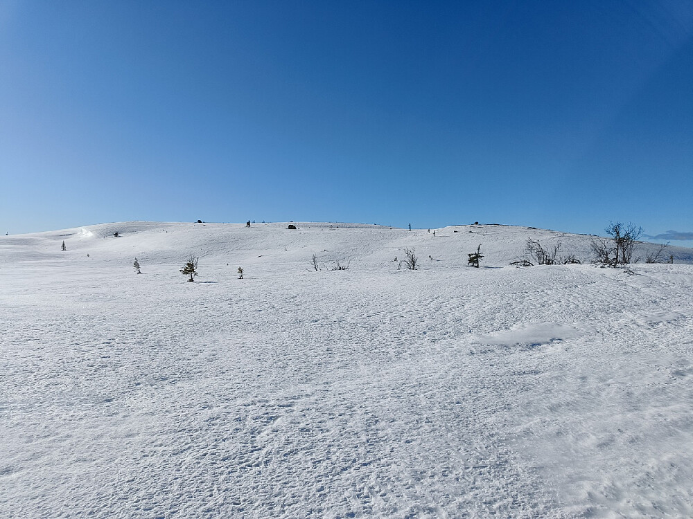 Ikke akkurat spektakulær, den "nye" toppen i sør, som jeg har kalt Makalaus Bruslettknatten.