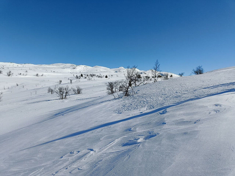 Oppover mot Spåtind.