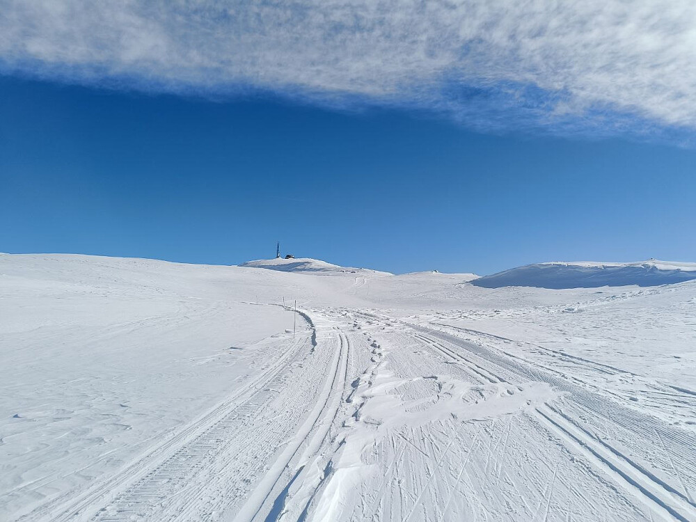 Toppen innen rekkevidde.