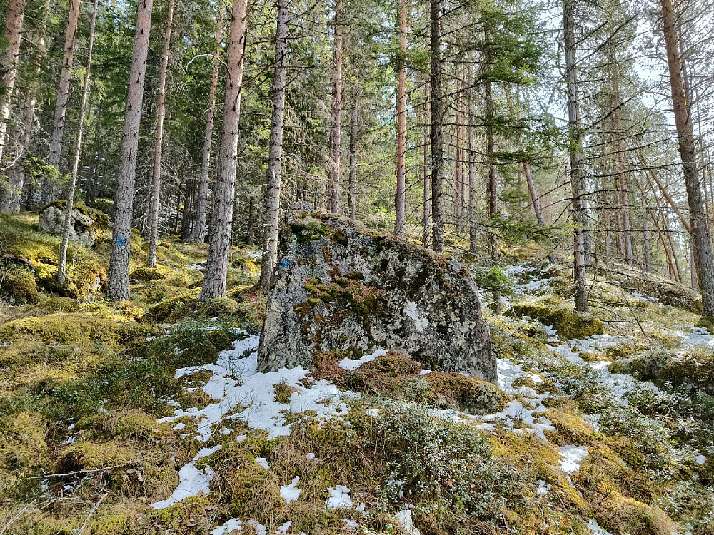 En diger stein ved ruta opp.