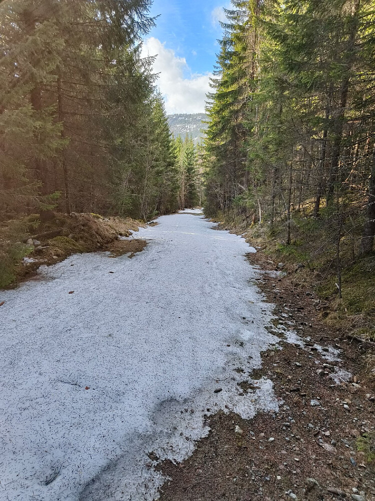 Droppa sykkelen opp her i dag.