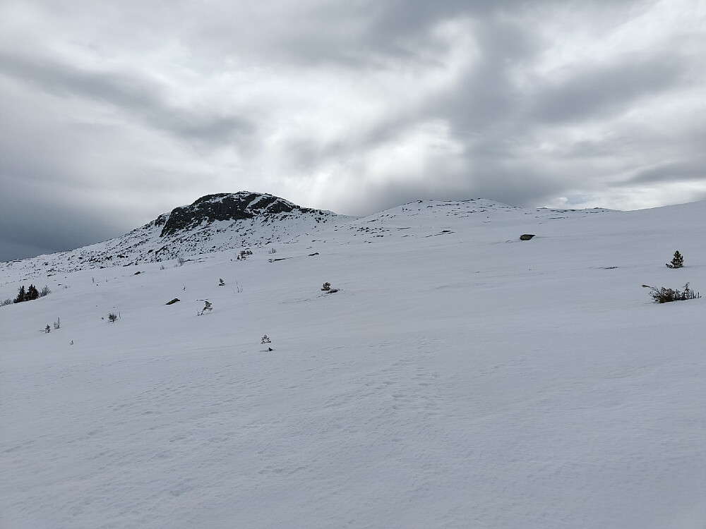 Nærkontakt med Skarvemellen.